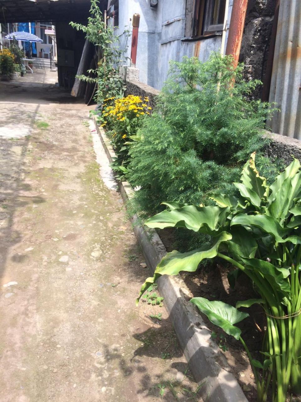 Batumi Guesthouse 28A Zewnętrze zdjęcie