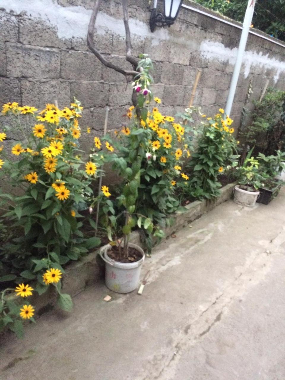 Batumi Guesthouse 28A Zewnętrze zdjęcie